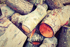 Cottwood wood burning boiler costs